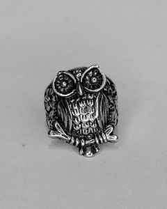 Anel Coruja da Sorte no ramo Aço