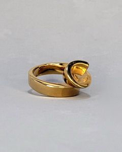 Anel Cacheado e Ponta Aço Gold