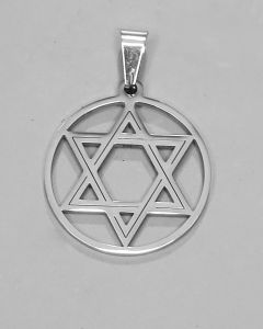 Pingente Estrela de Davi Redondo Aço (UND)