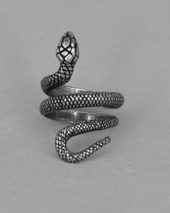 Anel Cobra 2 voltas Aberta Aço